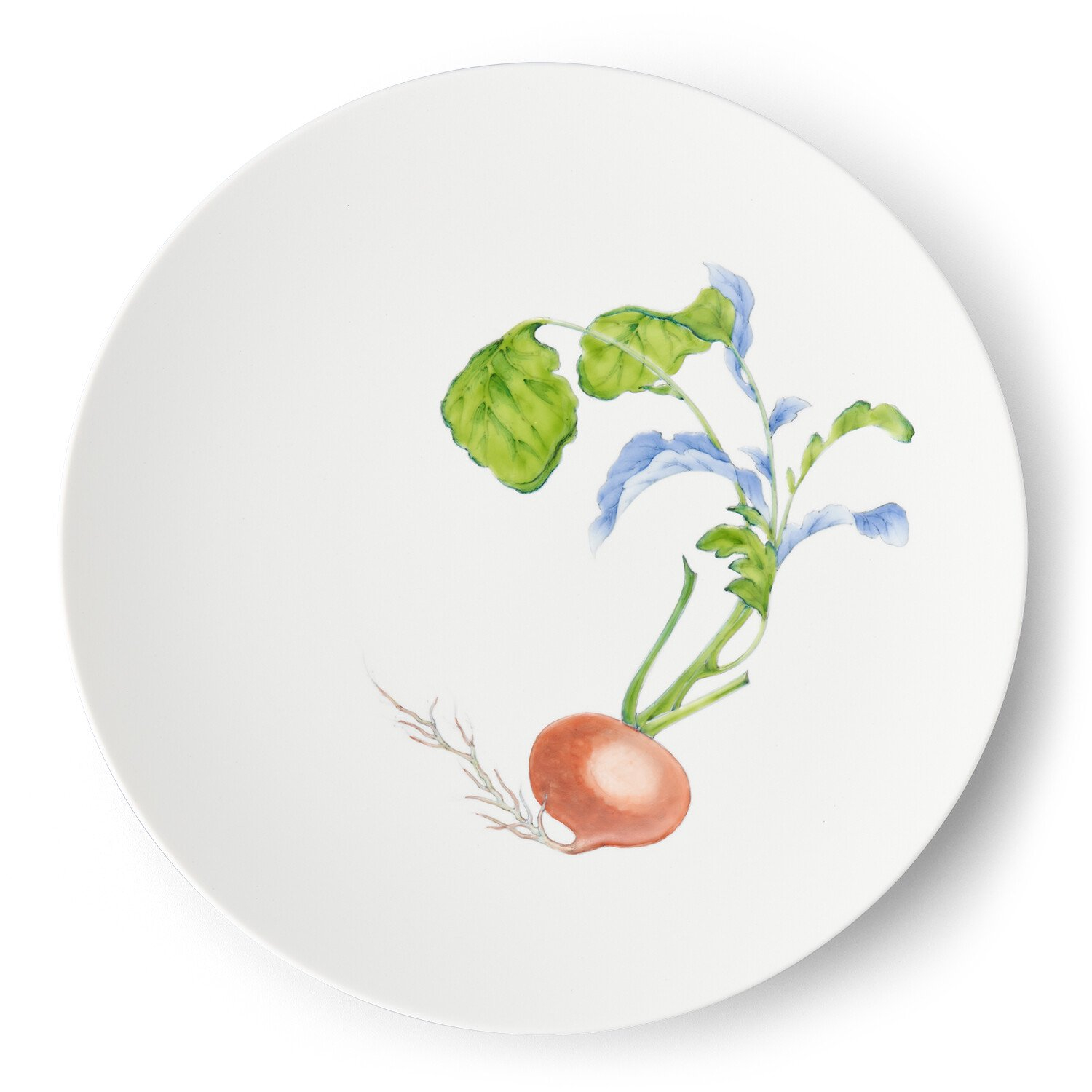 
【伊万里焼】プレート 平皿 Red turnip φ29cm Plate H834
