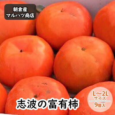 【ふるさと納税】柿 志波の富有柿 L～2Lサイズ×9個入 マルハツ商店 果物類 かき 　お届け：2025年11月中旬～11月下旬