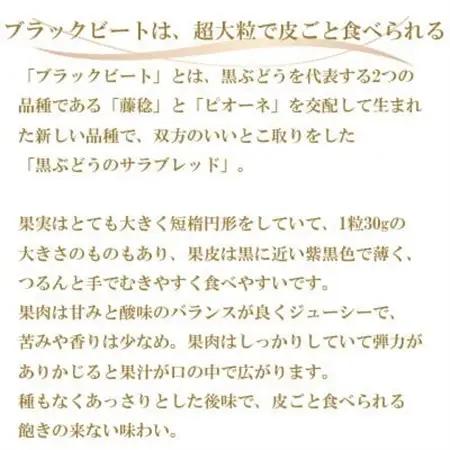 【先行受付】岡山県産　ブラックビート　1.5kg(3房～6房)【配送不可地域：離島・北海道・沖縄県】【1400520】
