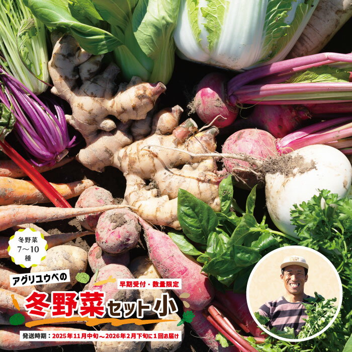 【ふるさと納税】 早期受付 数量限定 とれたて 新鮮 農家直送 アグリユウベの冬野菜セット (小) 国産 野菜セット 野菜便 やさい 野菜 冬野菜 ベジタブル 産地直送 国産 旬 高知県 四万十市 四万十 しまんと 送料無料 【2025年11月中旬～2026年2月下旬に1回発送】25-397