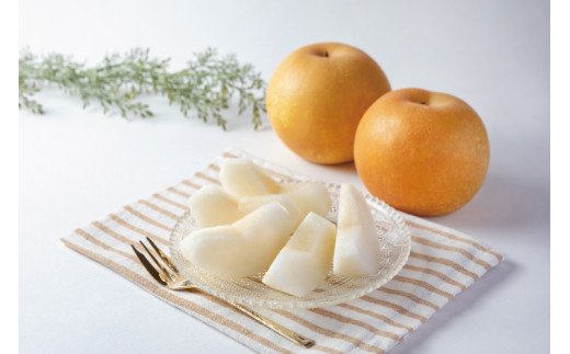 【先行予約受付】和歌山県産の美味しい 梨 約2kg （6～8玉入り） / なし 果物 フルーツ 和歌山県 ※8月中旬～9月中旬頃順次発送 ※離島への配送不可【mat503-r-2】