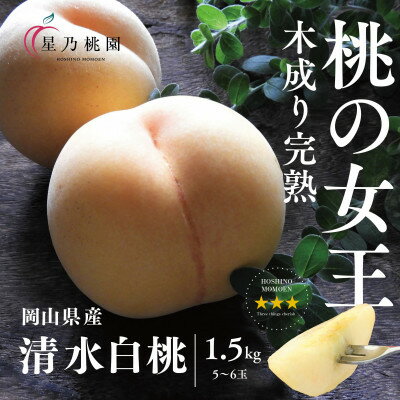 【ふるさと納税】【清水白桃】岡山県産 三つ星 星乃桃園 1.5kg (5〜6玉)【配送不可地域：離島】【1614285】