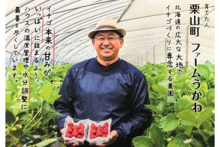 もぎたて！ファームうかわのいちご「赤い妖精」2パック