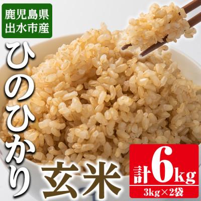 ふるさと納税 出水市 鹿児島県出水市産ひのひかり　玄米6kg_I504