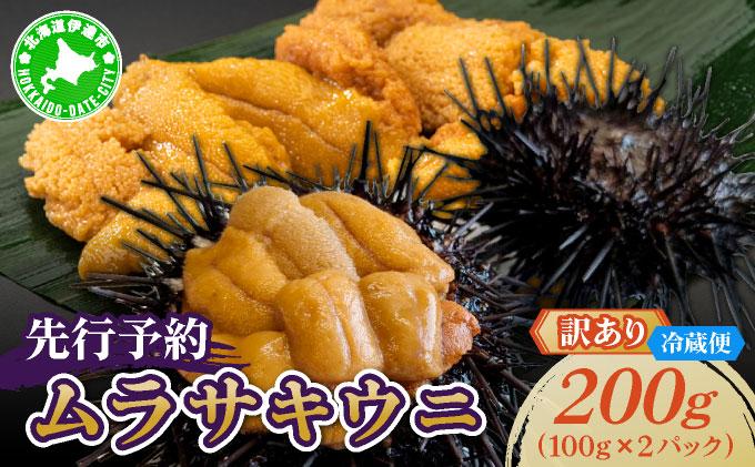 ＜先行予約＞ 北海道産 ムラサキウニ（訳あり）200g【ogm-040】生うに 塩水うに ミョウバン不使用 海鮮 訳あり 国産 北海道 伊達 ふるさと納税