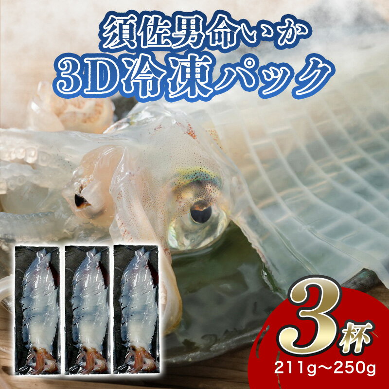 【ふるさと納税】自宅で透明感を再現！須佐男命いかの姿造り（刺身）特殊冷却「3D冷凍」パック 3個