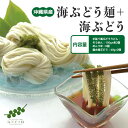 【ふるさと納税】海ぶどう麺＜6食セット＞+海ぶどう