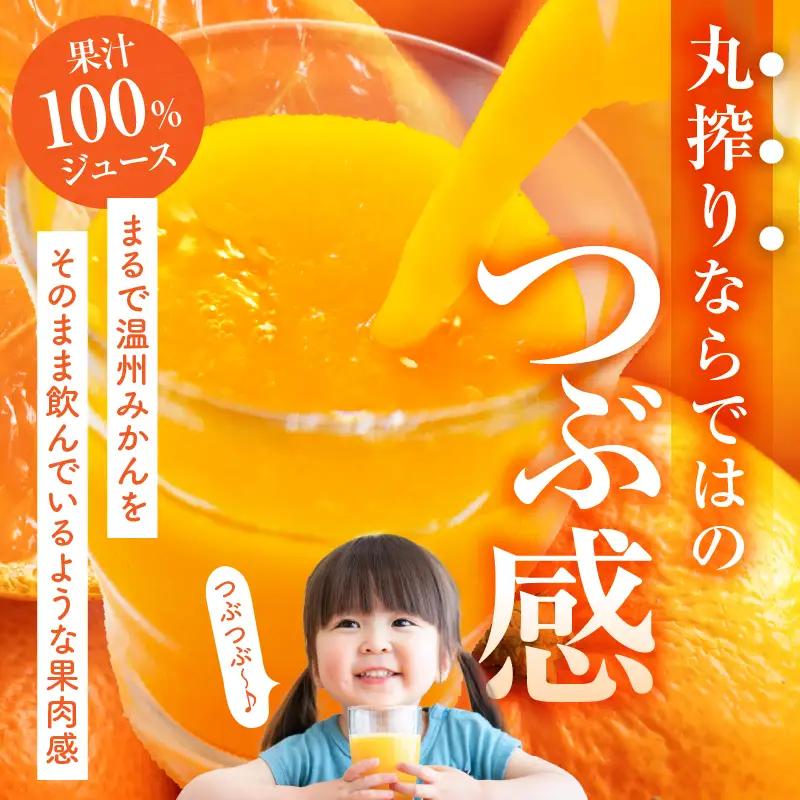 【定期便】宮崎県産 まる搾りみかんジュース 1,000ml×3本(毎月1回 12ヶ月) みかん 温州みかん みかんジュース まる搾り β-クリプトキサンチン 機能性表示食品 果肉感 つぶつぶ