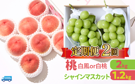 【2026年発送★先行予約】【年2回定期便】桃・シャインマスカット 106-022-26y