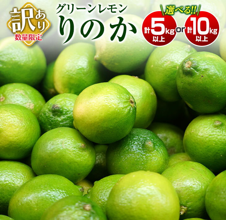 【ふるさと納税】≪内容量が選べる≫訳あり 数量限定 グリーンレモン りのか 5kg 10kg 期間限定 フルーツ 果物 くだもの 柑橘 レモン 檸檬 レモンティ レモネード 国産 食品 デザート スイーツ 人気 おすすめ ご家庭用 訳アリ おすそ分け 産地直送 宮崎県 日南市 送料無料