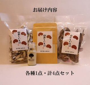 椎茸バラエティーセット