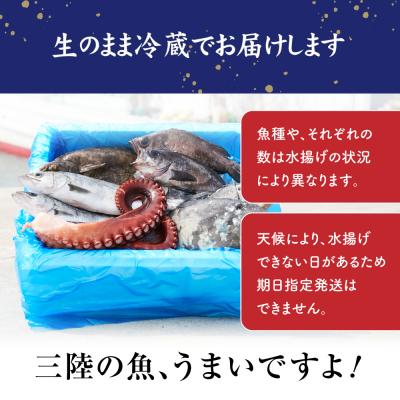 ふるさと納税 陸前高田市 【隔月3回定期便】三陸海の恵み詰め合わせ 1〜2人用 下処理済 旬 鮮魚 海藻 新鮮 |  | 02