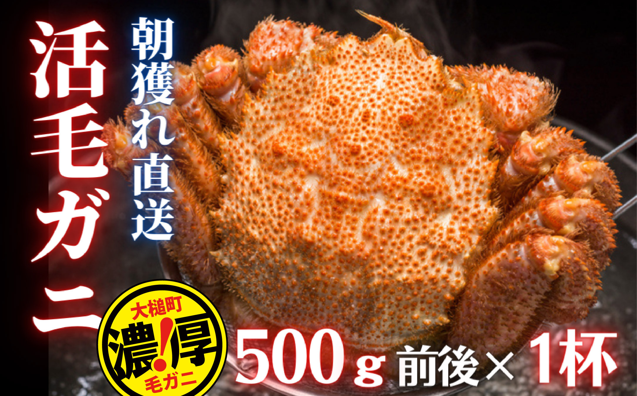 
                  【令和8年発送】三陸産 三陸活毛ガニ 500g×1杯【2026年3月～4月発送】【05】
                