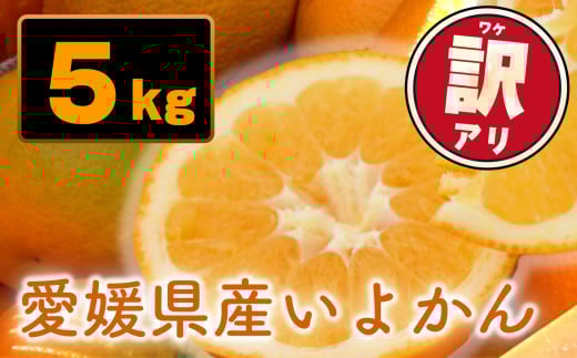 【先行予約】訳あり 愛媛県産 宮内いよかん 5kg | 【1月上旬～2月下旬発送】 宮内伊予柑 いよかん 蜜柑 伊予柑 わけあり 家庭用 柑橘 みかん ミカン mikan フルーツ 果物 かんきつ くだもの 甘い 甘み 酸味 ジューシー 果汁 果肉 秀品 数量限定 期間限定 旬 お取り寄せ グルメ みかん 産地直送 農家直送 国産 愛媛県 松山市