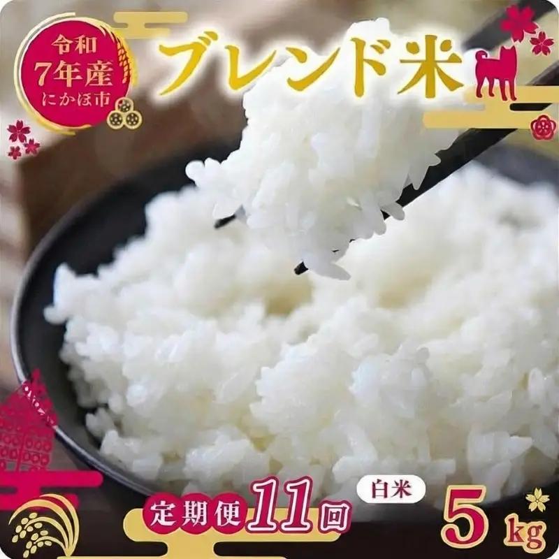 【定期便11か月】白米 ブレンド米 5kg  令和7年度産 白米