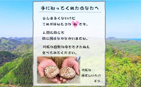 対馬 あべまき 原木 しいたけ 中葉厚肉 140g肉厚 椎茸 煮物 干ししいたけ 和食  [WBJ002]
