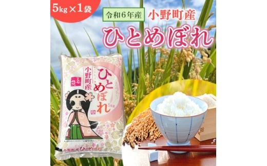 令和6年産福島県小野町産ひとめぼれ　5kg　精米【1630012】