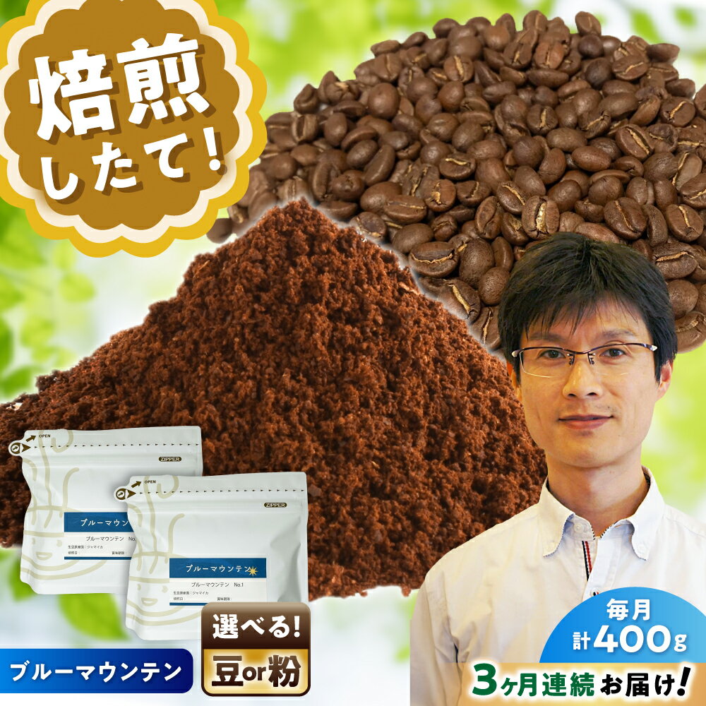 【ふるさと納税】【全3回定期便】[選べる豆 or 粉] ブルーマウンテンNo.1　200g×2個 / 珈琲 コーヒー / 瀬戸市 / Coffee　SAKURA[BBAB087]