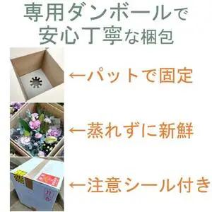 【定期便 / 毎月4回 計48回 お届け】季節のフラワーアレンジメント プレミアム 定期便 岩手県 北上市 Y0048  （ パルテール )  花 観賞用 アレンジ プレゼント ギフト 誕生日 お祝い