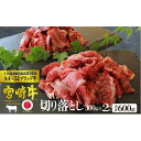 【ふるさと納税】宮崎牛 切り落し 600g（300g×2）※配送不可：一部離島　【 肉 お肉 牛肉 宮崎牛 黒毛和牛 小間切れ 牛丼 肉じゃが 炒め物 すき焼き しゃぶしゃぶ 宮崎県産 産地直送 】　お届け：※お届けに2ヶ月程度かかります。