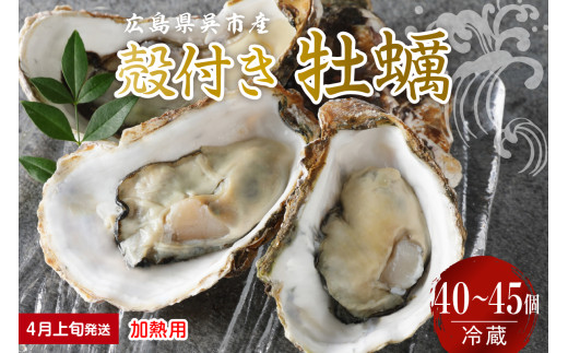 【2026年4月上旬発送】宮原水産 かき 殻付き 40～45個 加熱用