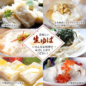 比叡山延暦寺御用達　生ゆば詰め合わせ１６（比叡とろゆば８、本さしみゆば８） AG-0011