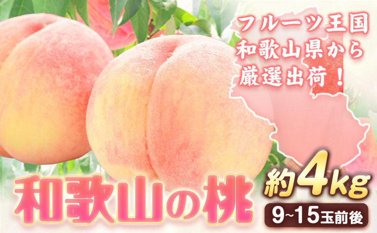 
            和歌山の 桃 秀選品 約 4kg 厳選館《2025年6月末-8月下旬出荷》和歌山県 日高町 果物 フルーツ 桃 もも 送料無料【配送不可地域あり】
          