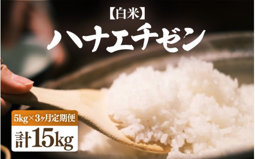 【先行予約】【令和8年産・新米】定期便 ≪3ヶ月連続お届け≫ ハナエチゼン 5kg × 3回（合計15kg）【白米】【2026年10月中旬以降順次発送】【お米 こめ はなえちぜん 華越前 人気品種 ブランド米 5キロ 白米 精米 玄米 おにぎり うまい 福井県ブランド米 福井県産】 [e26-c002_01]