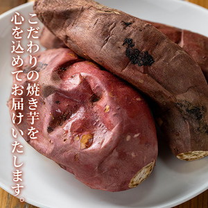 n256 数量限定 冷凍 焼き芋 セット 合計1kg さつま芋 安納芋 紅はるか 【ファーム工房】