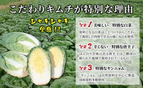 化学調味料不使用！信州望月高原こだわりキムチ（4個セット） | 国産キムチ 白菜 発酵食品 漬物 信州