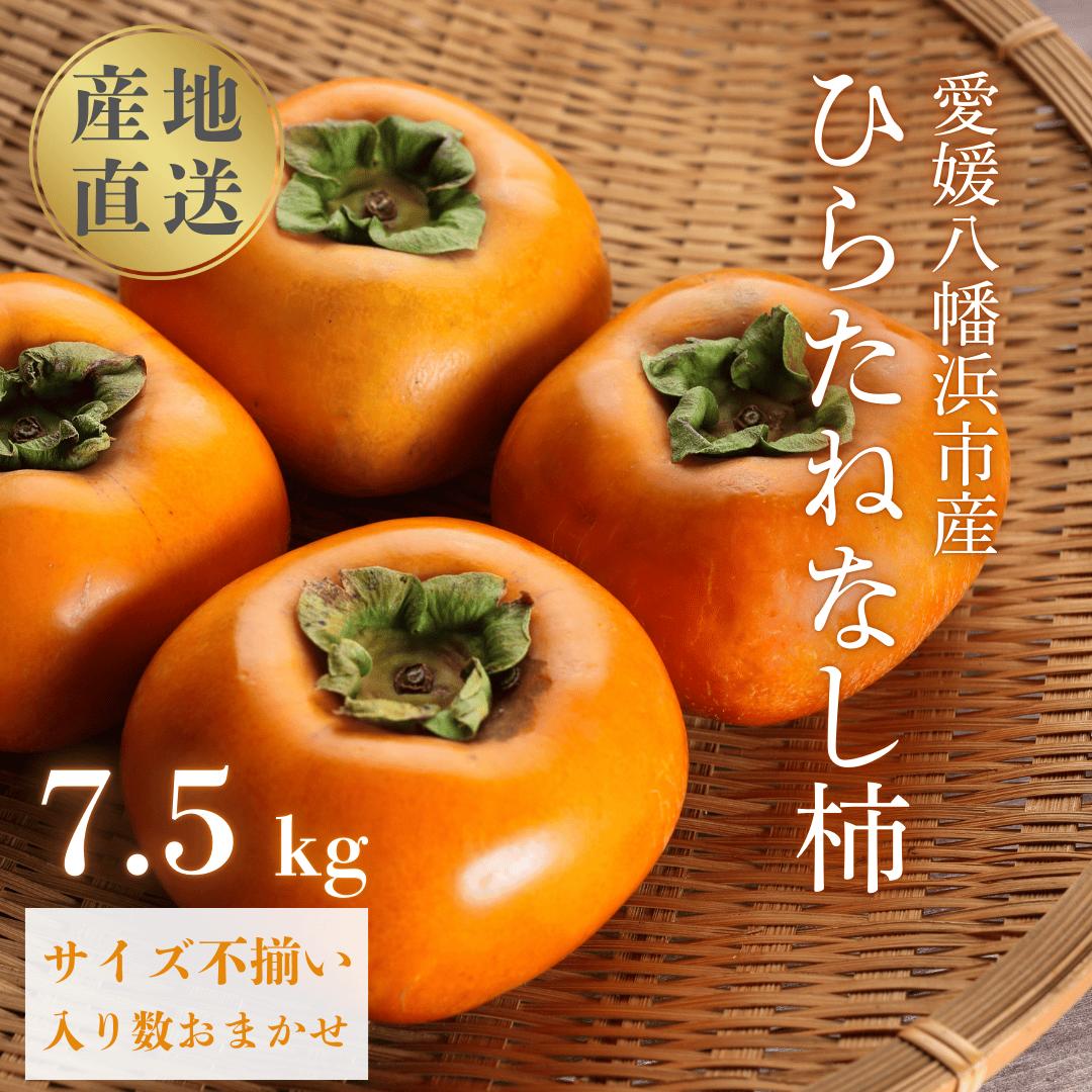 
                  国安さんちのひらたねなし柿 7.5kg＜F20-27＞_ 柿 かき カキ 種無し 種なし柿 種無し柿 フルーツ 果物 くだもの 人気 美味しい 愛媛県 八幡浜市 ふるさと 【1323619】 YWTI022
                