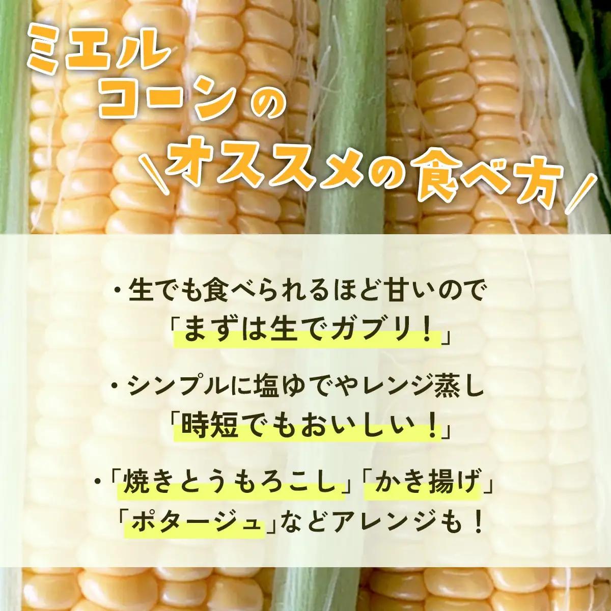 とうもろこし ミエルコーン 約6kg 茨城県産 トウモロコシ 訳あり