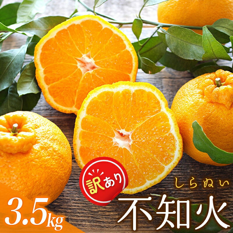 【ふるさと納税】 訳あり 不知火 3.5kg ＋痛み保障分 大小混合 家庭用 訳アリ わけあり みかん ミカン フルーツ 果物 くだもの 不知火 しらぬい 不知火デコポン 蜜柑 柑橘 人気 予約 先行予約 数量限定 【2026年2月初旬〜3月下旬までに順次発送】