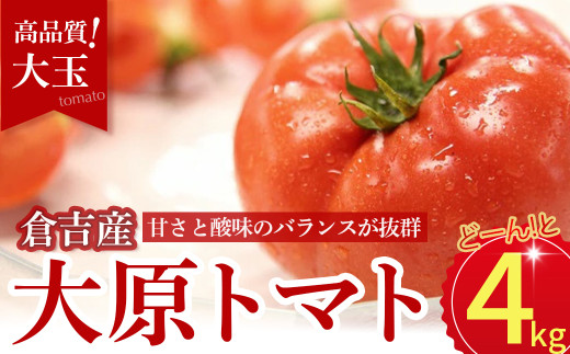 倉吉産 大原トマト 4kg 【大玉】 トマト 甘い 人気 大玉トマト トマト4キロ とまと 野菜 サラダ 鳥取県 倉吉市