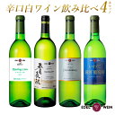 【ふるさと納税】エーデルワイン 辛口 白ワイン 飲み比べ4本セット 720ml×2、750ml×2 シャルドネ 五月長根 リースリング・リオン いわて銀河葡萄園 ぶどう 岩手県 花巻市 大迫