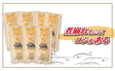 あごだしで長崎ちゃんぽん14人前 [RAG002] スピード発送 最短発送