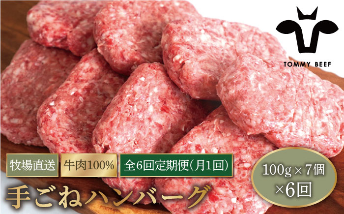 
【牧場直送】【6回定期便】岩塩と牛肉のみで作った 手ごね ハンバーグ 100g×7個【有限会社佐賀セントラル牧場】 [IAH055]
