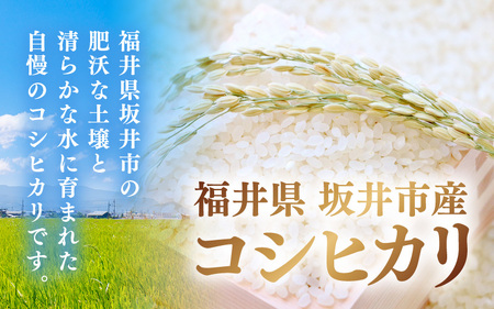 【先行予約】【令和8年産・新米】 定期便 ≪12ヶ月連続お届け≫ 坂井市産 コシヒカリ 白米 5kg×12回 計60kg (アグリ川崎) 【2026年10月以降順次発送予定】 【米 こめ お米 精米 