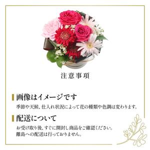 季節限定 フラワーアレンジメント レッド･ピンク系 花束 花 お花 生花 旬 おまかせ ブーケ 誕生日 お祝い プレゼント ギフト 記念日 贈り物 贈答用 母の日 父の日 自宅用 ラッピング アレンジ