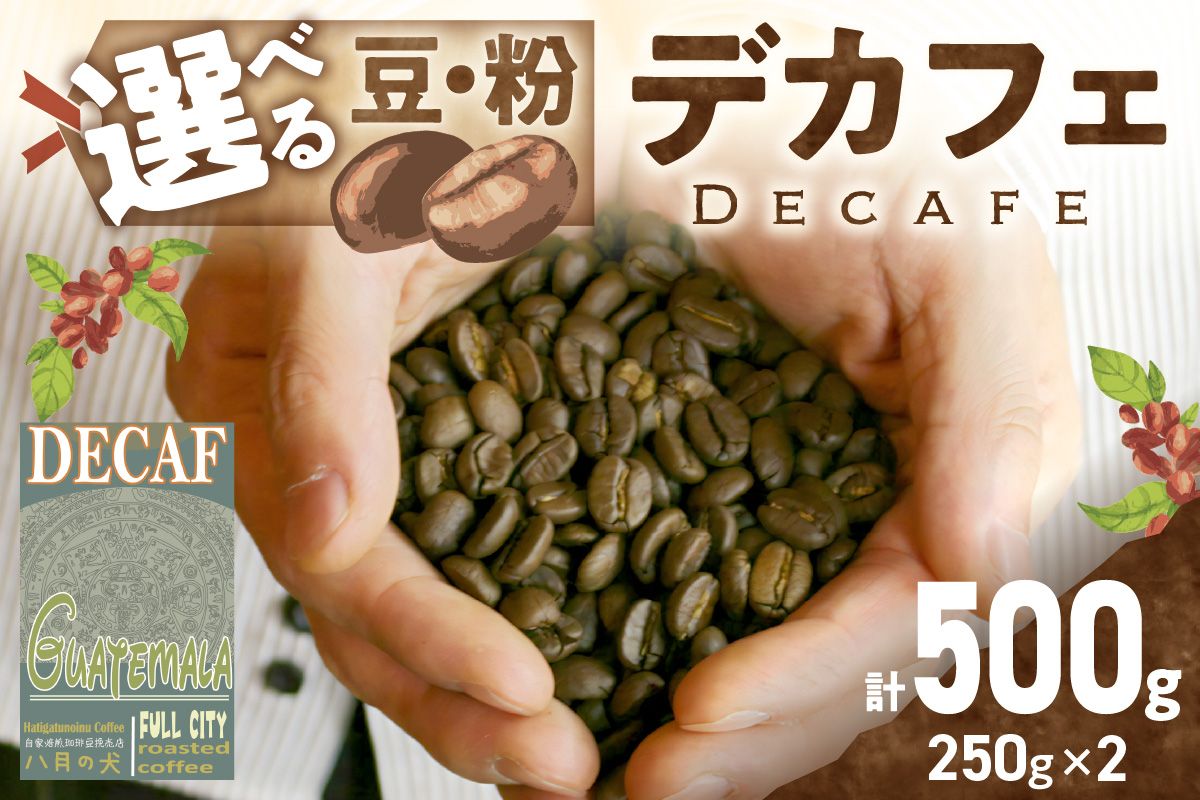 【デカフェ】自家焙煎　グアテマラ カフェインレスコーヒー豆 500g（250g×2）八月の犬　珈琲豆　ドリップ　マタニティー 飲料 珈琲 こーひー コーヒー coffee　HA00022