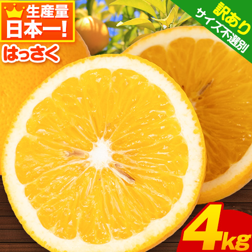【先行予約】【訳あり/サイズ不選別】はっさく 約4kg (4L～Sサイズ) 早生・晩生指定不可《2026年2月上旬-3月中旬頃出荷》和歌山県 紀の川市 産地直送 みかん 八朔 柑橘 果物 フルーツ ご家庭用 ビタミンC たっぷり