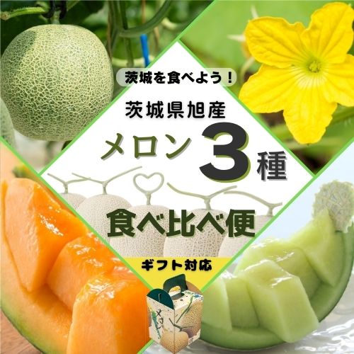【ふるさと納税】 メロン 3種 食べ比べ 旭メロン【 3回 お届け便 】（ アンデス ・ クインシー ・ アールス ）