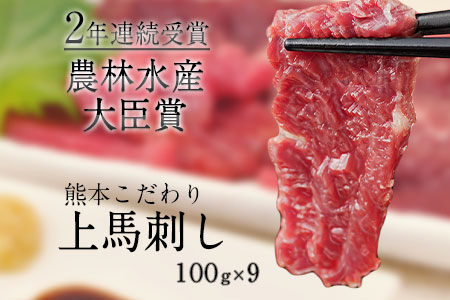 馬刺し 上赤身 ブロック 国産 熊本肥育 冷凍 生食用 たれ付き(10ml×9袋) 100g×9セット 肉 期間限定 絶品 牛肉よりヘルシー 馬肉 予約 平成27年28年 農林水産大臣賞受賞 熊本県荒尾市《1月中旬-3月末頃出荷》