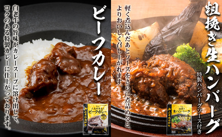 徳寿オリジナル詰め合わせ（焼肉ライスバーガー、チーズハンバーグライスバーガー、白老牛ハンバーグ、白老牛ビーフカレー）BJ080