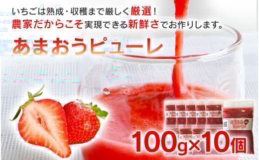 
あまおうピューレ100g×10個　BD09
