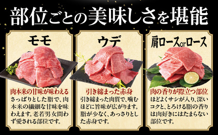 黒毛和牛【母の日までにお届け】黒毛和牛 焼肉 3種 畜産農家応援！ ハンバーグ 焼き肉