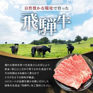 飛騨牛 A5 スライス 1kg（500g×2パック）ロース 又は 肩ロース 肉 ｜国産 肉 すき焼き しゃぶしゃぶ 和牛 黒毛和牛 グルメ A5等級 おすすめ AD113【飛騨牛 和牛ブランド 飛騨牛