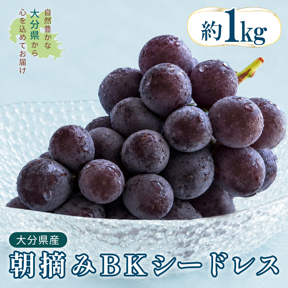 大分県産 BKシードレス 約1kg (2～3房) 2B6