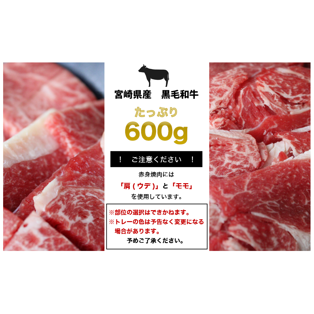 牛肉 黒毛和牛 宮崎県産黒毛和牛 焼肉 & スライス セット 各 300g ×2p 計 600g [SHINGAKI 宮崎県 美郷町 31ag0075]  肉 小分け 冷凍 牛 すき焼き 焼肉_イメー