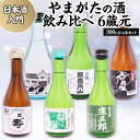 【ふるさと納税】★日本酒入門★やまがたの酒 飲み比べ6蔵元 (300ml×6本セット) fz23-488 日本酒 生酒 飲み比べ 山形 300ml セット 酒